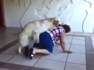 Zoo XXX with a chubby lady almost fucked publicly