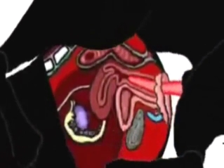 Zoophile animation with a dog hitting prostate