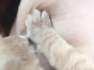 Bestiality porn with breast worship, crazy kind